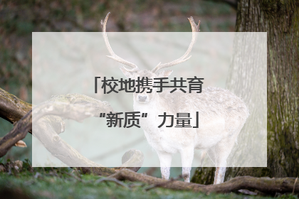 校地携手共育“新质”力量