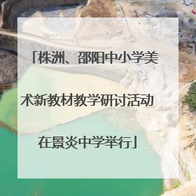 株洲、邵阳中小学美术新教材教学研讨活动在景炎中学举行