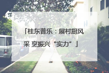 桂东普乐：展村厨风采 烹振兴“实力”