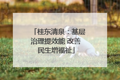 桂东清泉：基层治理提效能 改善民生增福祉