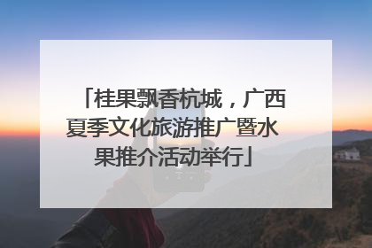 桂果飘香杭城，广西夏季文化旅游推广暨水果推介活动举行
