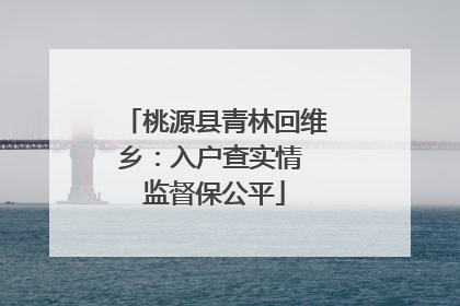 桃源县青林回维乡：入户查实情 监督保公平