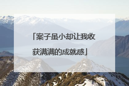 案子虽小却让我收获满满的成就感