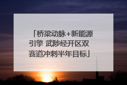 桥梁动脉+新能源引擎 武陟经开区双赛道冲刺半年目标