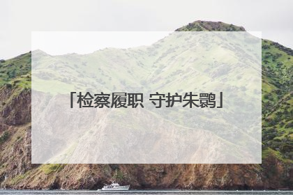 检察履职 守护朱鹮