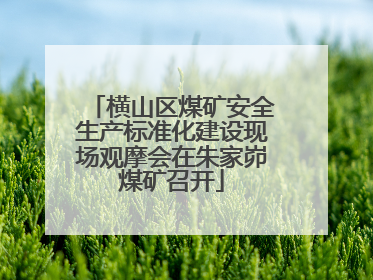 横山区煤矿安全生产标准化建设现场观摩会在朱家峁煤矿召开