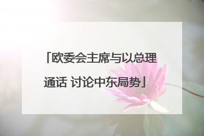 欧委会主席与以总理通话 讨论中东局势