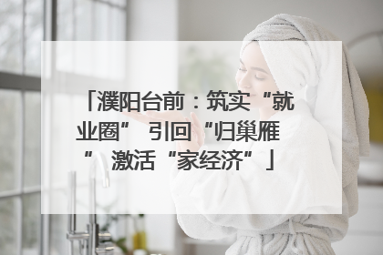 濮阳台前：筑实“就业圈” 引回“归巢雁” 激活“家经济”