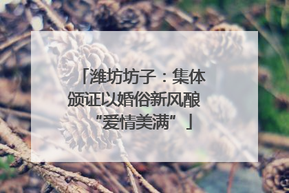 潍坊坊子：集体颁证以婚俗新风酿“爱情美满”
