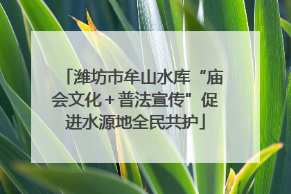 潍坊市牟山水库“庙会文化＋普法宣传”促进水源地全民共护