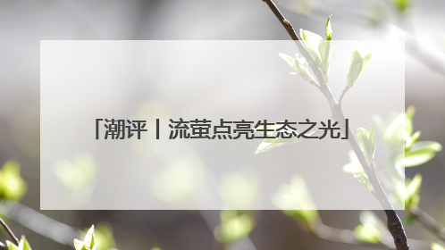 潮评丨流萤点亮生态之光
