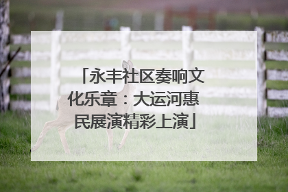 永丰社区奏响文化乐章：大运河惠民展演精彩上演