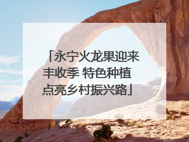 永宁火龙果迎来丰收季 特色种植点亮乡村振兴路