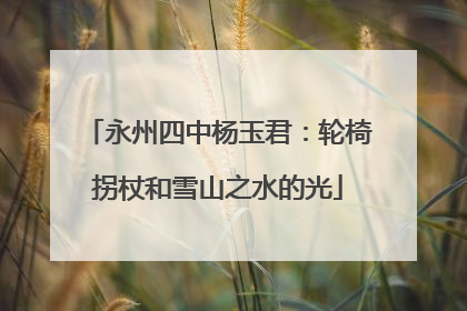 永州四中杨玉君：轮椅拐杖和雪山之水的光