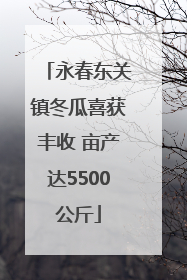 永春东关镇冬瓜喜获丰收 亩产达5500公斤