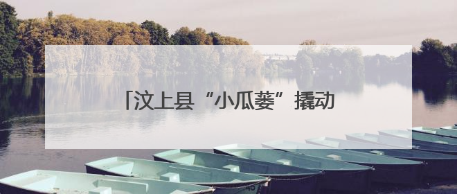 汶上县“小瓜蒌”撬动乡村振兴“大产业”