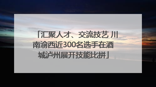 汇聚人才、交流技艺 川南渝西近300名选手在酒城泸州展开技能比拼