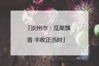 汝州市：瓜果飘香 丰收正当时