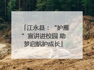 江永县：“护雁”宣讲进校园 助梦启航护成长