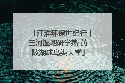 江淮环保世纪行｜三河湿地研学热 黄陂湖成鸟类天堂