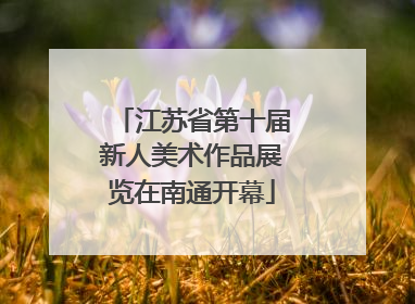 江苏省第十届新人美术作品展览在南通开幕