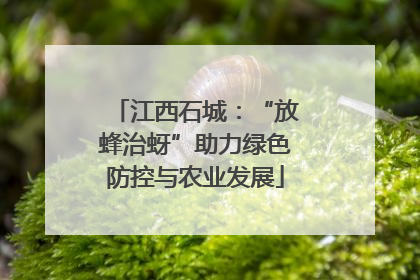 江西石城：“放蜂治蚜”助力绿色防控与农业发展