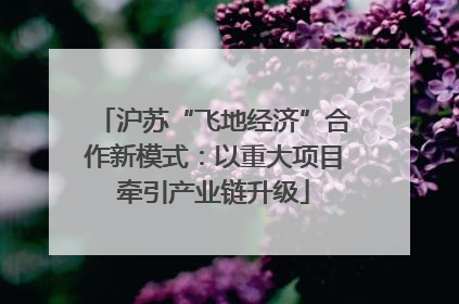 沪苏“飞地经济”合作新模式：以重大项目牵引产业链升级