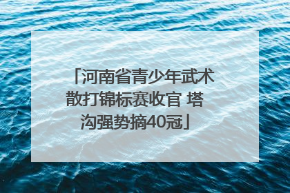河南省青少年武术散打锦标赛收官 塔沟强势摘40冠