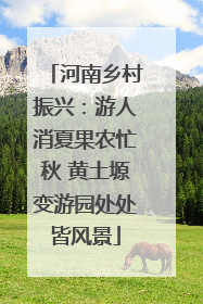 河南乡村振兴：游人消夏果农忙秋 黄土塬变游园处处皆风景