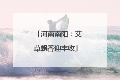 河南南阳：艾草飘香迎丰收