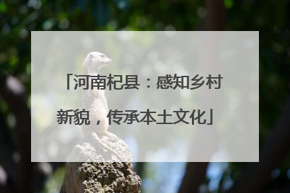 河南杞县：感知乡村新貌，传承本土文化