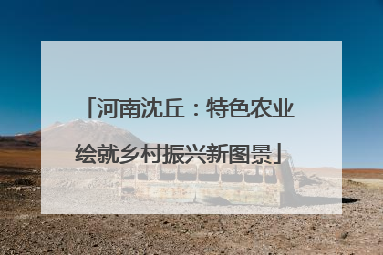 河南沈丘：特色农业绘就乡村振兴新图景