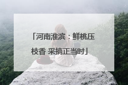河南淮滨：鲜桃压枝香 采摘正当时