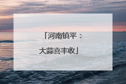河南镇平：大蒜喜丰收
