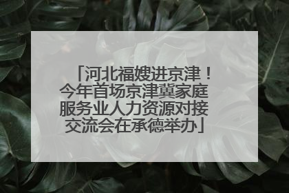 河北福嫂进京津！今年首场京津冀家庭服务业人力资源对接交流会在承德举办