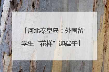 河北秦皇岛:外国留学生“花样”迎端午