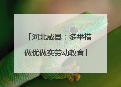 河北威县：多举措做优做实劳动教育