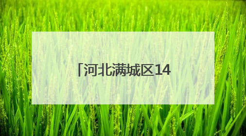 河北满城区14.53万亩小麦开镰收割（组图）