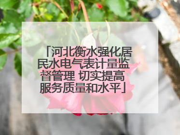 河北衡水强化居民水电气表计量监督管理 切实提高服务质量和水平