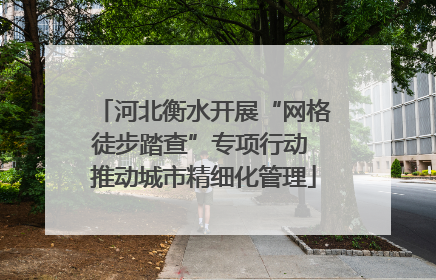 河北衡水开展“网格徒步踏查”专项行动 推动城市精细化管理