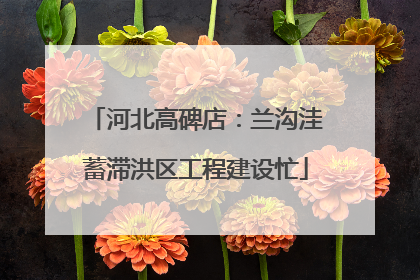 河北高碑店：兰沟洼蓄滞洪区工程建设忙