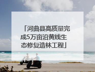 河曲县高质量完成5万亩沿黄线生态修复造林工程
