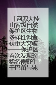 河源大桂山省级自然保护区生物多样性调查获重大突破——保护区首次发现珍稀名贵野生干巴菌与钝尾两头蛇