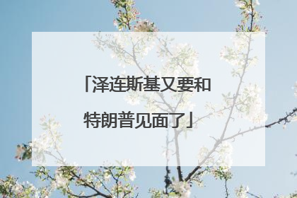 泽连斯基又要和特朗普见面了