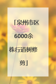 泉州市区6000余株行道树修剪