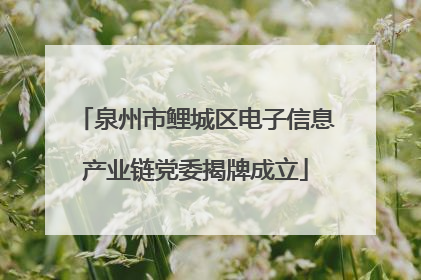 泉州市鲤城区电子信息产业链党委揭牌成立