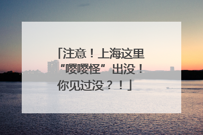 注意!上海这里“嘤嘤怪”出没!你见过没?!