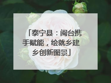 泰宁县：闽台携手赋能，绘就乡建乡创新图景