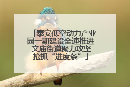 泰安低空动力产业园一期建设全速推进 文庙街道聚力攻坚抢抓“进度条”