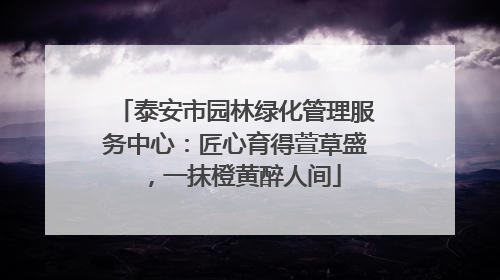 泰安市园林绿化管理服务中心：匠心育得萱草盛，一抹橙黄醉人间